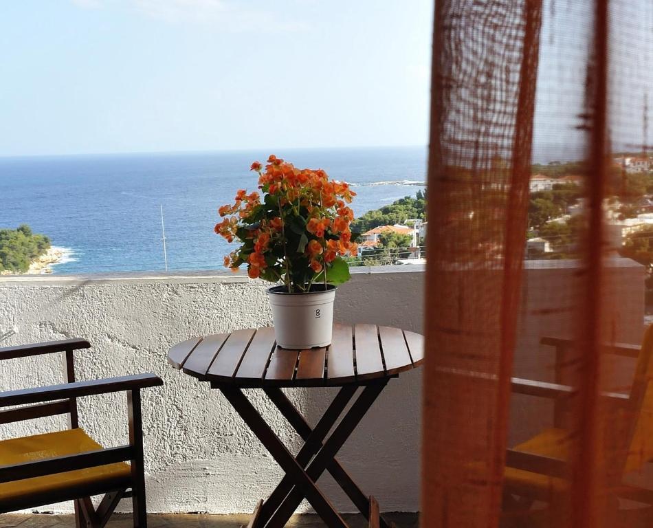 Pension Andromeda Patitiri  Room photo