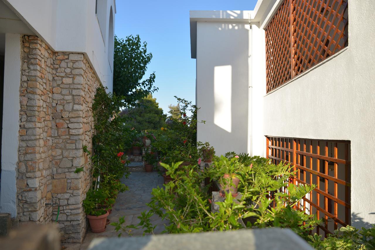 Pension Andromeda Patitiri  Exterior photo