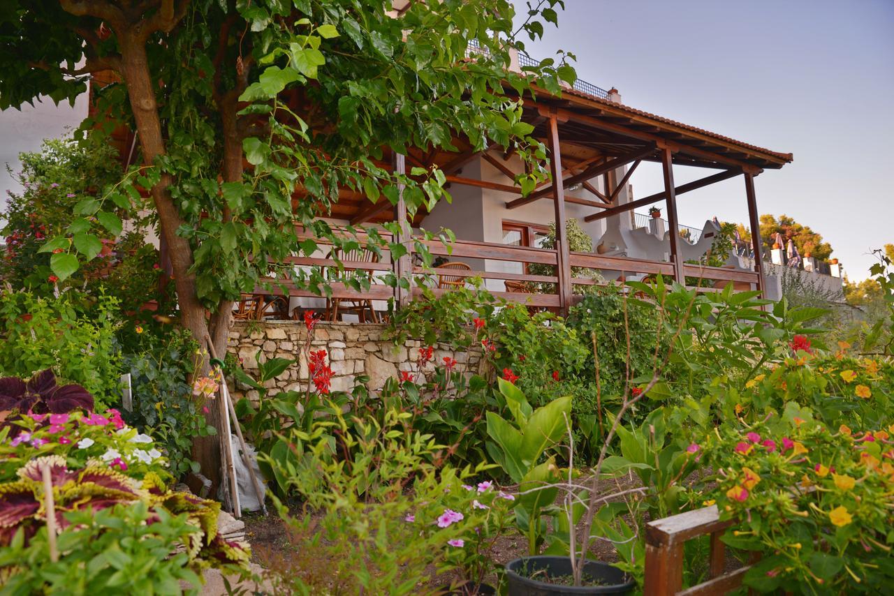 Pension Andromeda Patitiri  Exterior photo